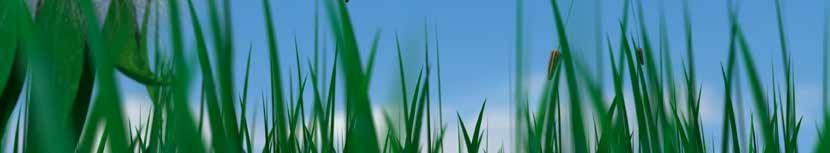 Speciális testméret 11 мм NEW Alkalmazás For herbicide and liquid fertilizer applications színkód > Thanks to the exceptional wear resistance of Albuz Rózsaszín ceramic, these nozzles can be used to