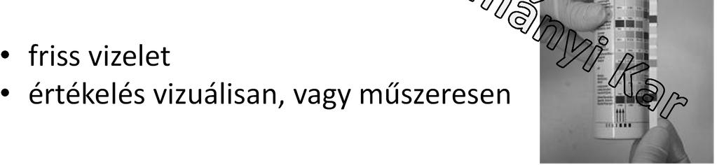 (Cvitamin) 10 jellemző: + leukociták, fajsúly, viszont nem vizsgál aszkorbinsavat 11