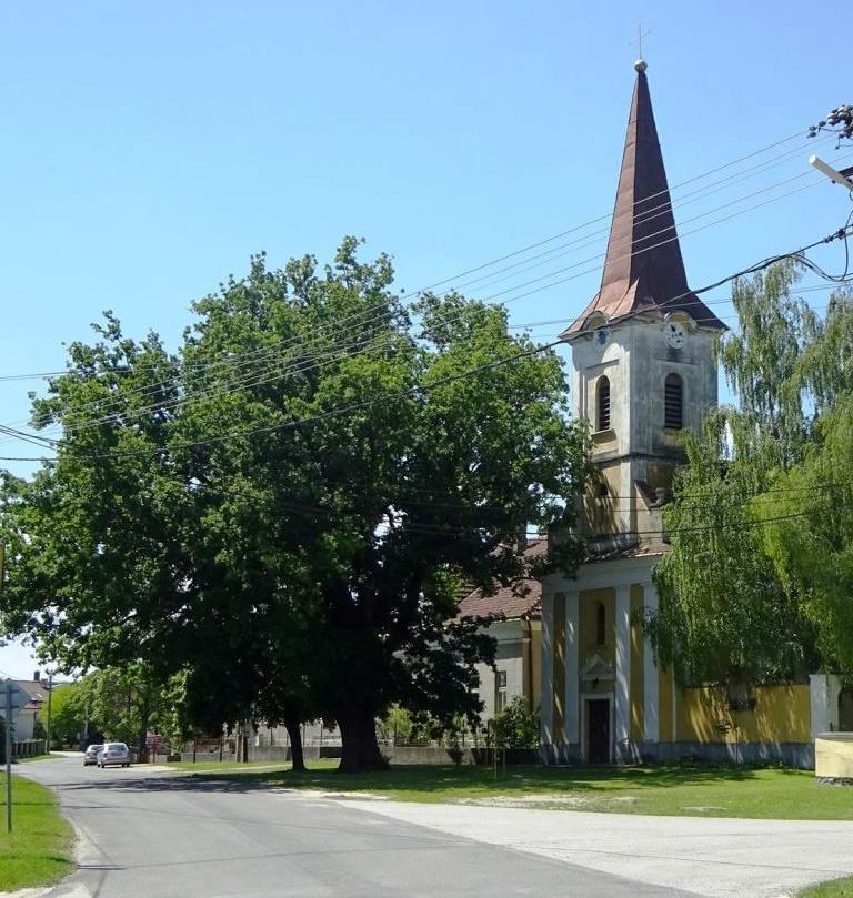 Szűz Mária