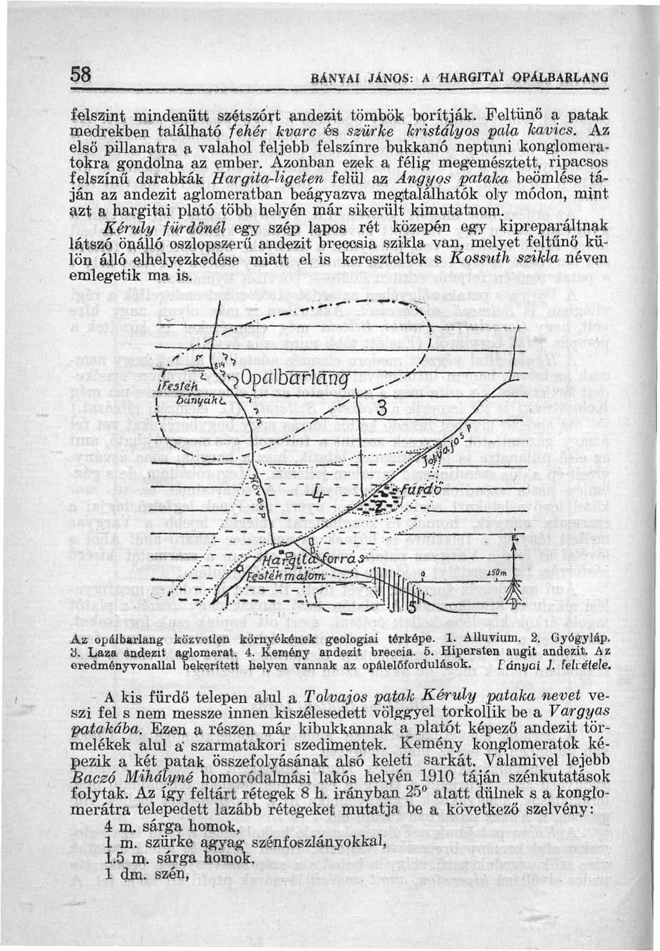 58 BANYAI JÁNOS: A 'HARGITAI OPÁLBARLANG felszint mindenütt szétszórt andezit tömbök borítják. Feltűnő a patak medrekben található fehér kvarc és szürke kristályos pala kavics.