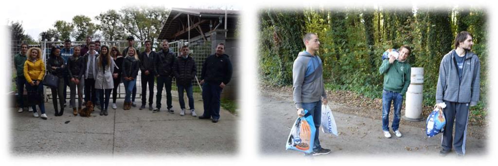 Animal shelter: Our students regularly collect food for the dogs of the Animal Shelter several times in a year and they clean the kennels of dogs and take them for walks.