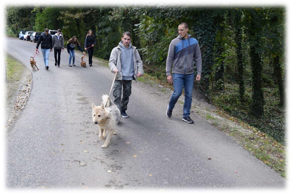 Camp- Junior University : We organised our Junior University program together with the colleagues of our Water Technology Research Centre for the first time.
