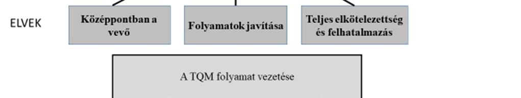 A minőség és a TQM között a lényegi különbség az, hogy amíg a minőség a termékre/szolgáltatásra vonatkozó kategória, addig a TQM a termék előállításával kapcsolatos folyamatokra, a termék értékére,