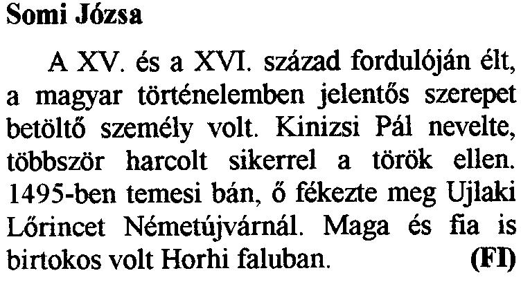 Ez volt az elso uzem, amelybell budaorsiek, foleg asszonyok dolgoztak. A XIX. szd. vegen alapitott iizem a keseriiviz kiakruizasara es palackozasara epult.