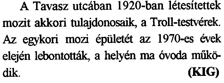 Vezeteknevl1kon azonban csak a csaladfoket es a kiilon Mztartasban elo notleneket irtak be, a csaladtagokat csupan keresztneviikon soroltak rei.