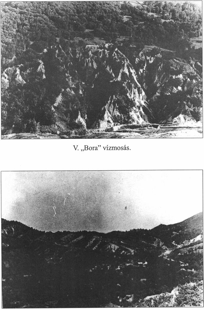 VI.