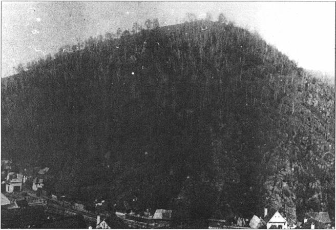 kertek. V. Az 1914. évi(?) versenyerdősítés.