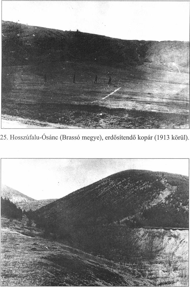 26. Hétfalu (Brassó megye),