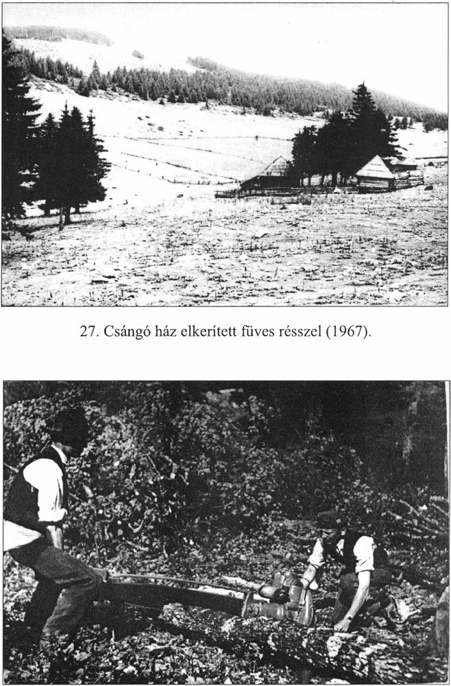 28. Darabolás kétszemélyes