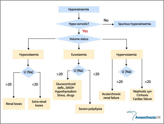 Hypovolaemiás hyponatraemia Víz és Na együttes vesztés, de a Na jobban! Kifejezett E.C. folyadék vesztés > nem osmotikus ADH szekréció > vesében vízretentio > tartós és súlyosbodó hyponatraemia!