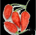 Nagyon kellemes ízű paprika.
