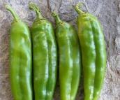 A paprika füstös, ugyanakkor gyümölcsös íze miatt közkedvelt.