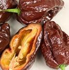 8038 Demon Red Nagyon csípős paprika, egy bokron akár többszáz Olaszország termés nőhet.