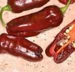 125 000-325 000 8047 Fatalii White Afrika Stabil, csaknem elefántszín Fatalii változat.