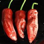 250 000-400 000 Ssz 8054 Fajta Habanero Carolina Yellow 8055 Habanero Chocolate 8056 Habanero