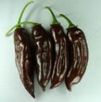Ízletes, vékony húsú termések. Jamaica Scotch Bonnet / Habanero fajta.
