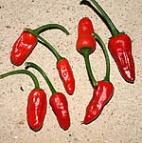 Csirkeszív méretű és formájú paprika, közepesen erős, kisebb termések.