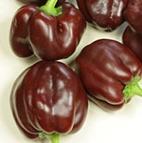 40 000-80 000 8115 Thai red hot Thaiföld Nagyon szép díszchili.