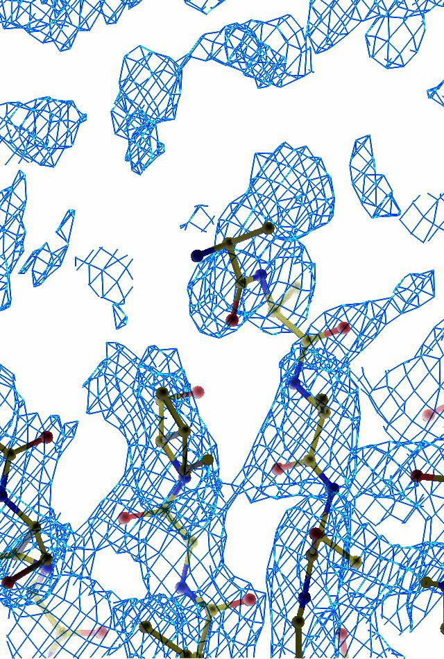 Sugárforrások: ESRF szinkrotron sugárforrás BM14-U nyaláb, a DESY EMBL X11 nyaláb és az ELTE Fehérjekrisztallográfiai Laboratóriumban található diffraktométere (réz Kα sugárzás, Rigaku RU-H2R forgó