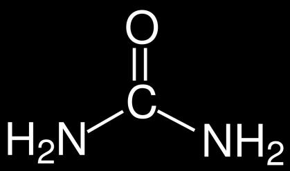 Karbamid Vesefunkció romlás esetén nő a szintje, de enyhébb