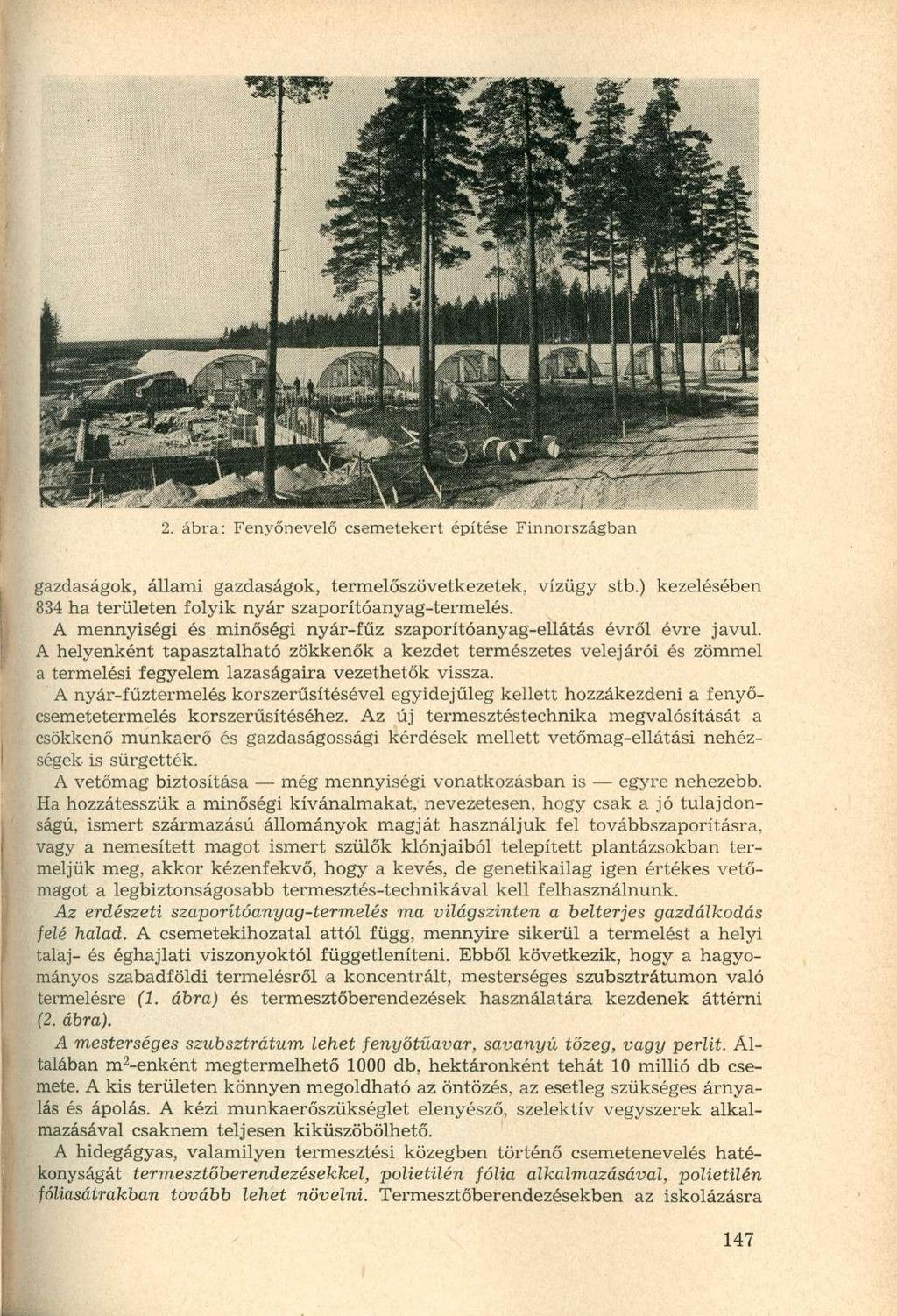 2. ábra: Fenyőnevelő csemetekert építése Finnországban gazdaságok, állami gazdaságok, termelőszövetkezetek, vízügy stb.) kezelésében 834 ha területen folyik nyár szaporítóanyag-termelés.