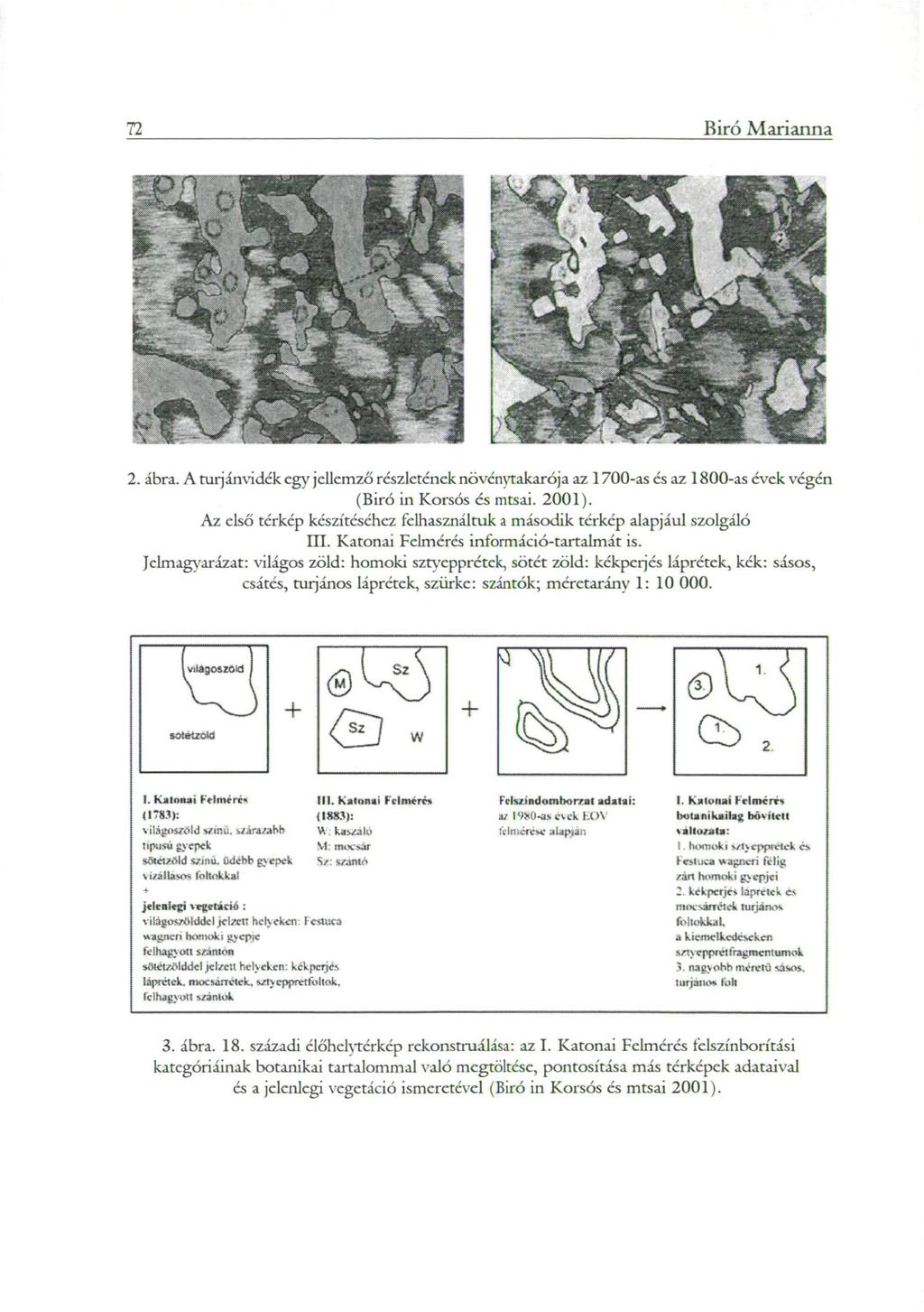 72 Biró Marianna 2. ábra. A turjánvidék egy jellemző részletének növénytakarója az 1700-as és az 1800-as évek végén (Biró in Korsós és mtsai. 2001).