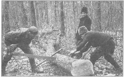 ha dolgozóink keresete arányban áll nehéz munkájukkal. A gyalufogas fűrésznél az átlagos teljesítmény órabér 6.- Ft fölött van, de nem ritka a 8.- Ft feletti munkaórára eső bér sem. /.../ Az 1956-57.