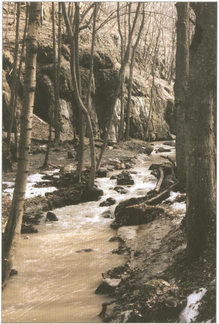 Bakonyszentlászló, a
