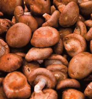 Zöldség-gyümölcs, Húsok Süngomba 150 g/tálca Rügysaláta válogatás