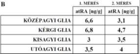 pedig barna színű eppendorf csövekben tároltuk és szállítottuk. A sejtek tenyésztését és a mintavételt mi végeztük, a HPLC mérést Dr.
