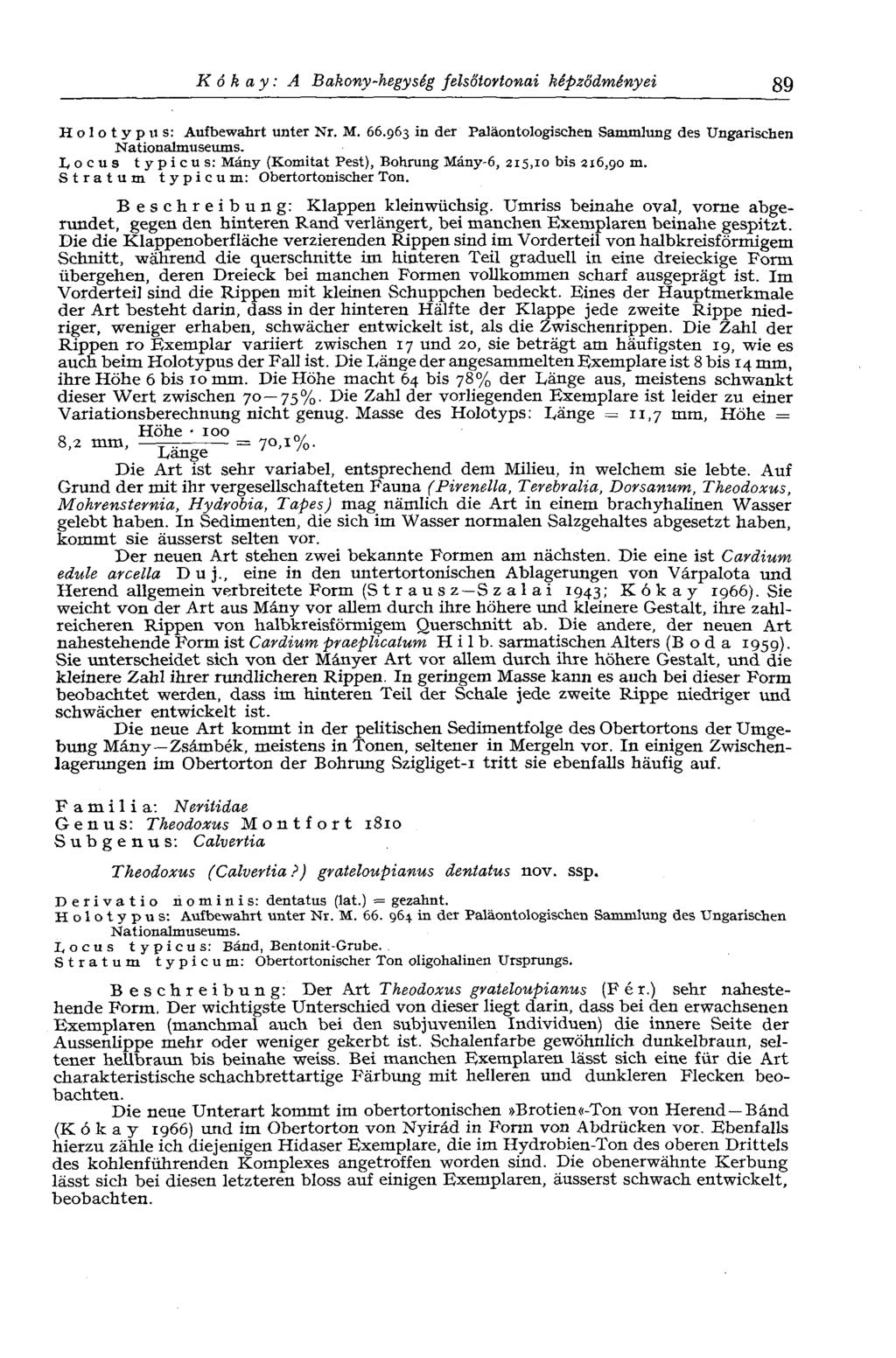 Kókay: A Bakony-hegység felsőtortonai képződményei 89 Holotypus: Aufbewahrt unter Nr. M. 66.963 in der Paläontologischen Sammlung des Ungarischen Nationalmuseums.