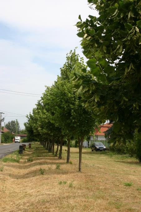 49 UTCÁK (közterületek településképi útmutatója) A közterületek megfelelő fenntartása, a már nem használt közterületi elemek elbontása látványos előrelépést jelenthet.