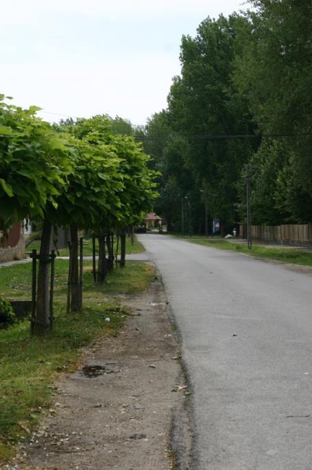 51 A vízfolyások a települések legattraktívabb elemei lehetnek. Pilisen központi szerepet játszik a Gerje patak, melynek völgyébe települt a város.