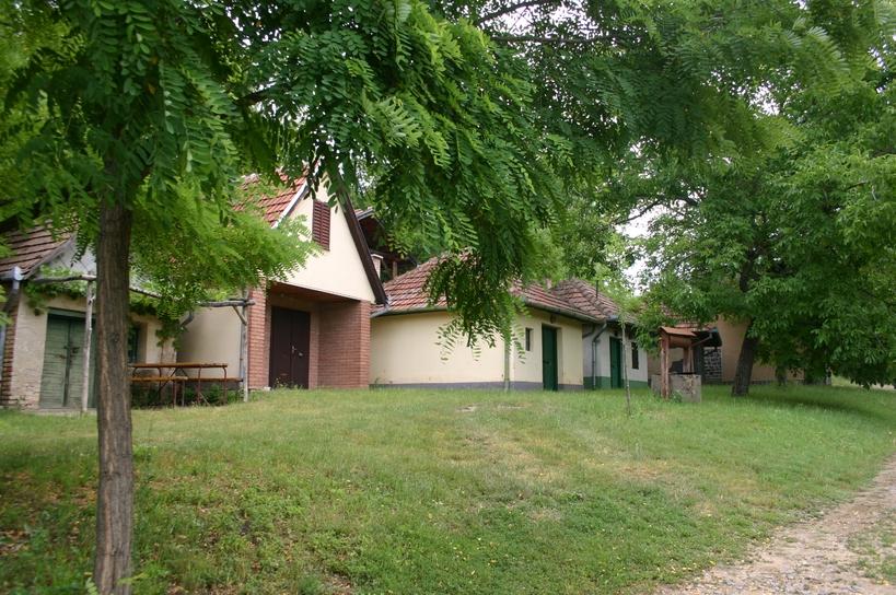 Pilis külterületi tájra jellemző a mezőgazdasági területeken a szántóterületek, másodlagosan a gyepterületek (legelők, rétek) jelenléte.