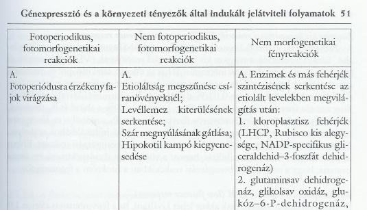 Az etiolált csíranövényekben a legnagyobb mennyiségben a merisztematikus régióban fordul elı: apikális merisztéma és gyökér.