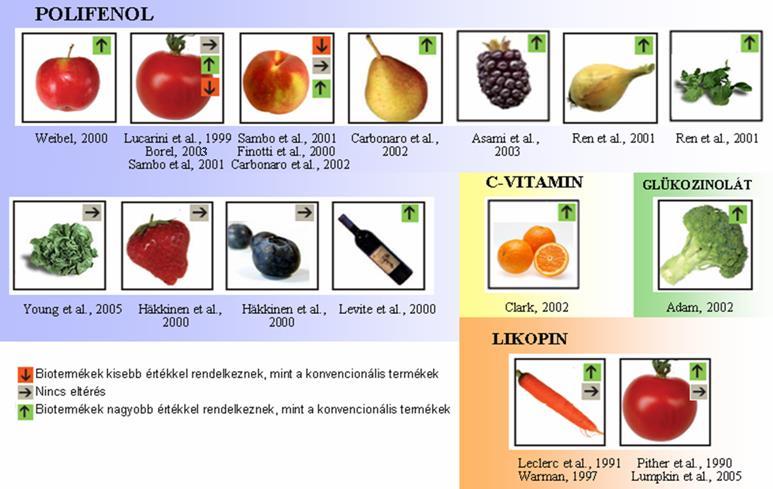 Bio- és konvencionális termények fitovegyület-tartalmát összehasonlító vizsgálatok Színek, ízek, illatok is innen származnak Fitoalexin, salvestrol, resveratrol,
