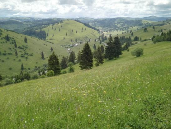 A hatodik napon délelőtt a Csíki és a Pogány Havasokhoz mentünk túrázni, ahonnan