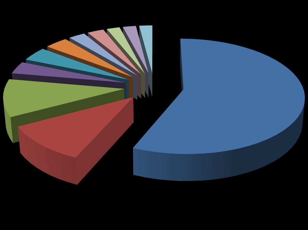 3. ábra 4% 3% 3% 2% 2% 2% 4% 4% 11% 57% 11% megélhetés biztosítása (fizetés, egzisztencia, önfenntartás, csekk befizetés, stb.