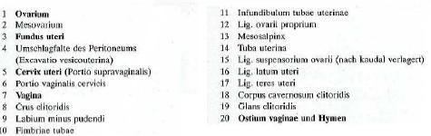 SZERVEK