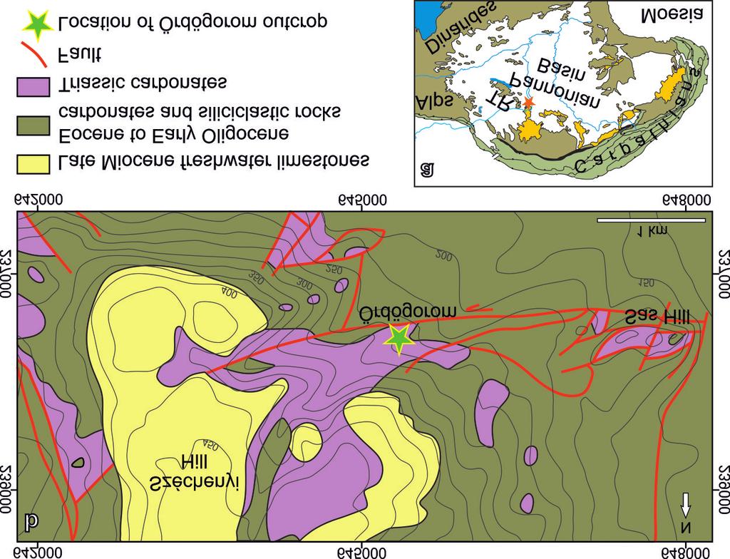 4 PALOTAI Márton: Folding and faulting of cherty dolostones at Ördög-orom, Buda Hills, Hungary relevant modern mapping is available).