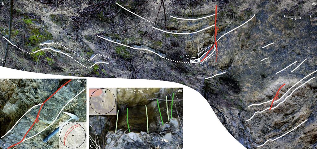Chert occurs as layers and lenses within the carbonates. The dolostones in this formation are the result of late dolomitisation of the limestones (HAAS & BUDAI 2014).