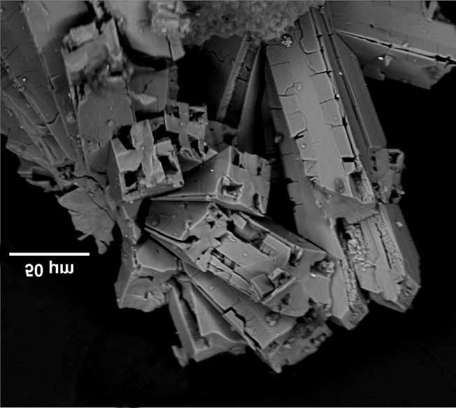 315 Å, and V = 426.068 Å 3. Three electron microprobe analyses were performed on sabelliite (Table II). The chemical formula, based on the average of the microprobe data, is: Cu 1.96 Zn 1.20 (As 0.