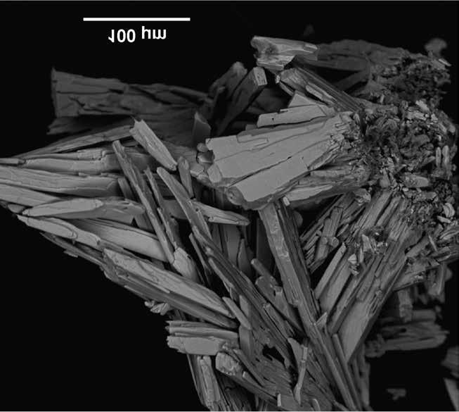 Földtani Közlöny 146/1 (2016) 55 Pharmacolite and picropharmacolite from Moldova Nouă (Újmoldova) and pharmacolite from Şaru Dornei (Sárosdorna) The formation of arsenates is connected to realgar