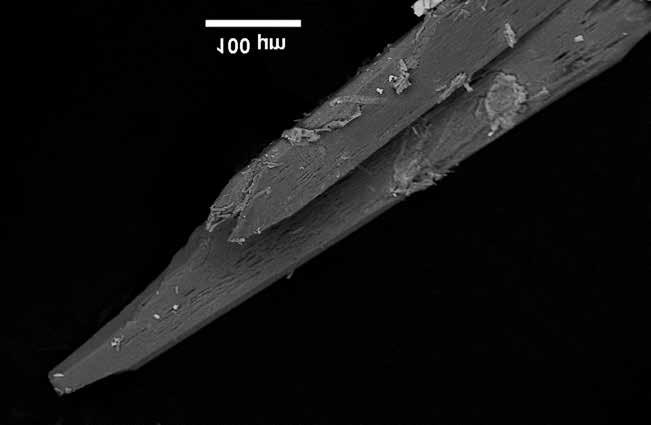 Rare arsenates were found in the nests and voids of As sulphides located in vein-filling calcite. Colourless, 0.