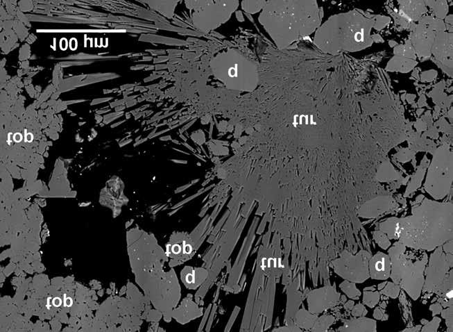 56 FEHÉR Béla et al.: Mineralogical mosaics from the Carpathian Pannonian region 3 Table XI.