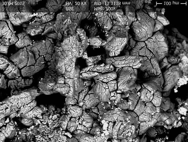 There are well-developed minute crystals of magnetite, ilmenite, apatite, and titanite in close association with sodalite.
