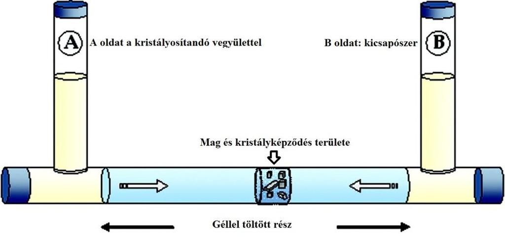 4. ábra: Egy tipikus géldiffúziós kísérlet elrendezése. A és B jelöli a két oldatot, mely oldatok érintkezése, keveredése a középső gél rendszeren való diffúziós sebességen alapul. 6.