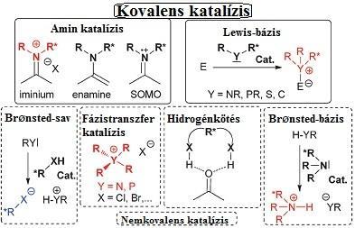 43. ábra: Az organokatalizátorok csoportosítása Levacher és munkatársai szerint 108 A továbbiakban az értekezésem témáját érintő hidrogénhíd donor-katalizátorokkal foglalkozom.