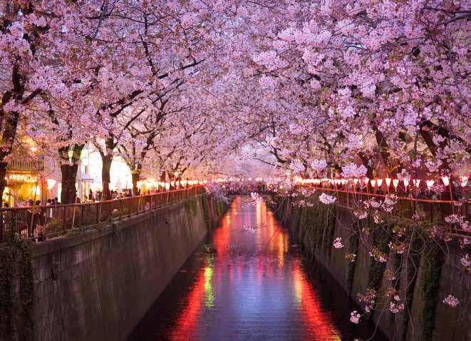 Japán Világörökségek és cseresznyefa virágzás MIYAJIMA HIROSIMA KANAZAWA KIOTÓ 1. nap Budapest Tokió Elutazás Budapestről Tokióba a menetrend szerint az esti órákban. 2.