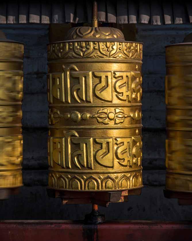 A Drepung Tibet legnagyobb kolostora és egyike a három nagy Gelugpa egyetemi kolostornak. Sanghaj kalligráfiai gyűjteménnyel rendelkezik.